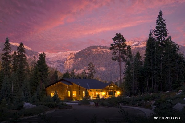 Sequoia NP, Wuksachi Lodge, rondreis Amerika - opDroomreis.nu