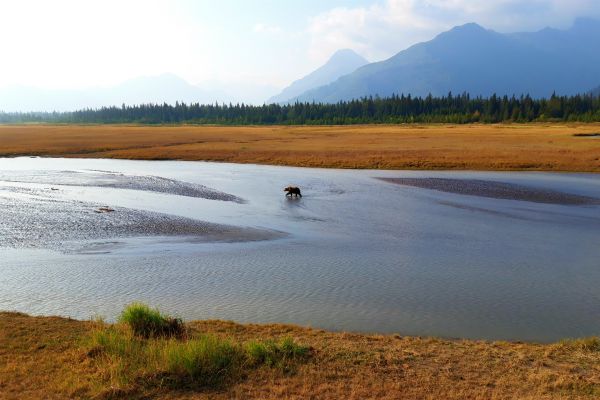 Lake Clark NP, Bearcamp uitkijktoren, rondreis Alaska en Yukon - opDroomreis.nu