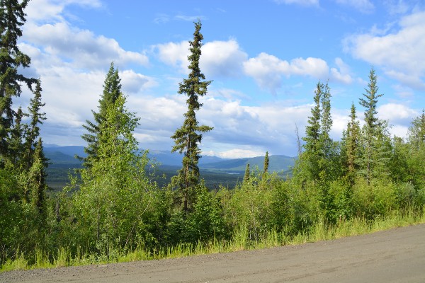 Silver Trail, rondreis Alaska en Yukon - opDroomreis.nu