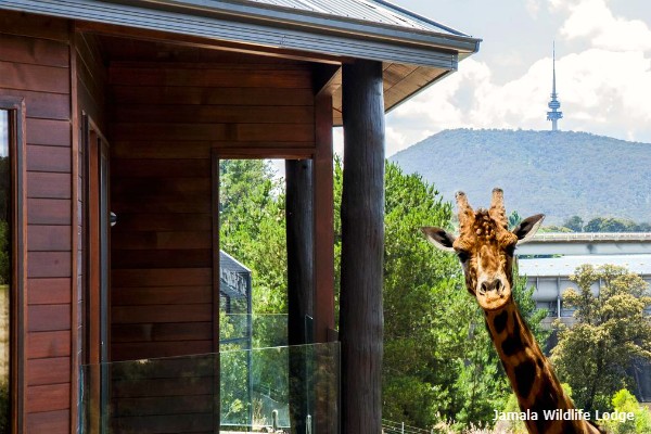 Canberra, Jamala Wildlife Lodge - rondreis Australië, opDroomreis.nu