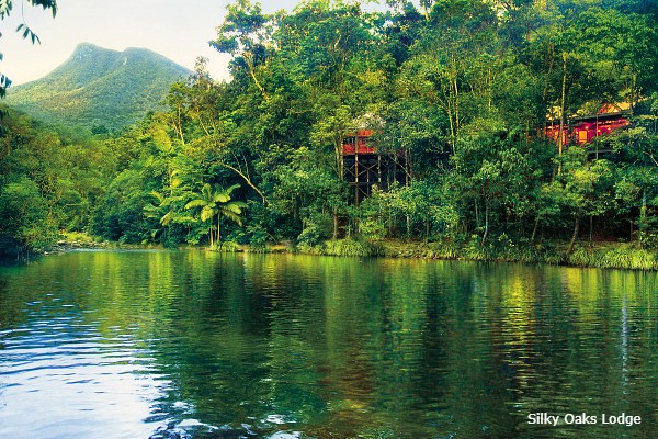 Daintree NP, Silky Oaks Lodge, rivier - rondreis Australië, opDroomreis.nu