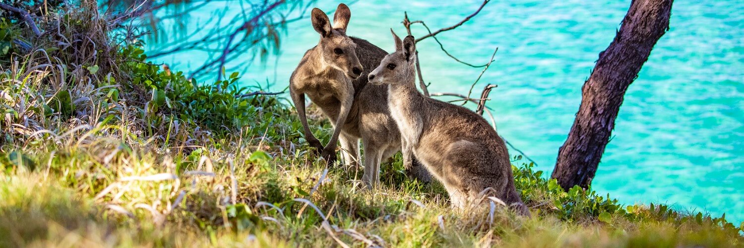 North Stradbroke Island, North Gorge Walk - rondreis Australië, opDroomreis.nu