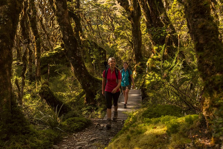 Fiordland, Routeburn Track, Ultimate Hikes - rondreis Nieuw-Zeeland, opDroomreis.nu