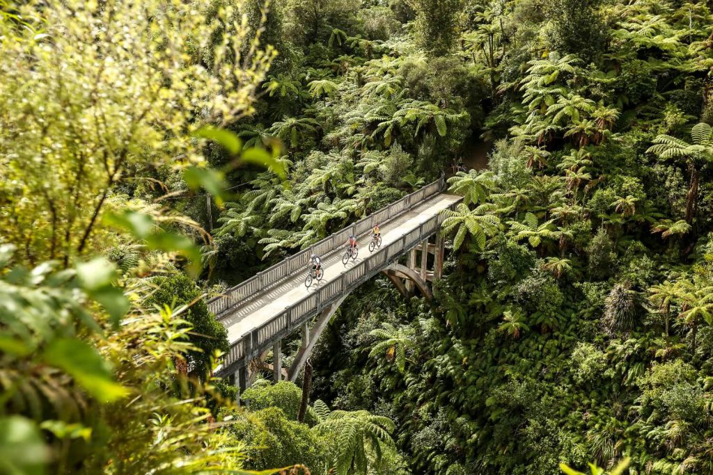 Whanganui, Bridge to Nowhere, rondreis Nieuw-Zeeland - opDroomreis.nu