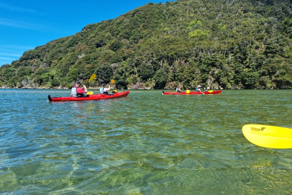Wilson Trip Abel Tasman NP, review reis Nieuw-Zeeland - opDroomreis.nu