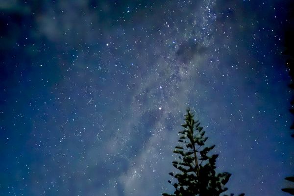 Great Barrier Island stargazing tour, review reis Nieuw-Zeeland - opDroomreis.nu