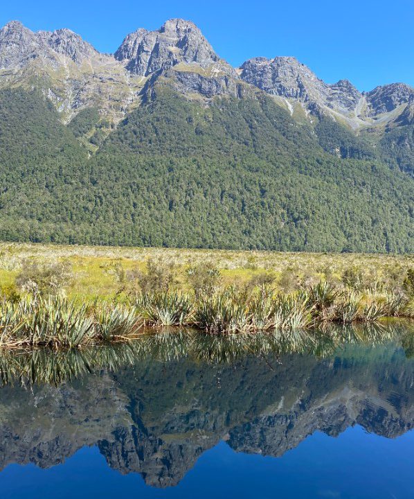 Milford Road, Mirror Lakes, review reis Nieuw-Zeeland - opDroomreis.nu