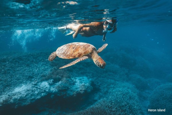 Heron Island - Queensland, rondreis Australië - opDroomreis