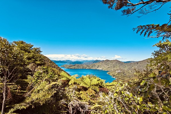 Marlborough Sound - review rondreis Nieuw-Zeeland, opDroomreis.nu