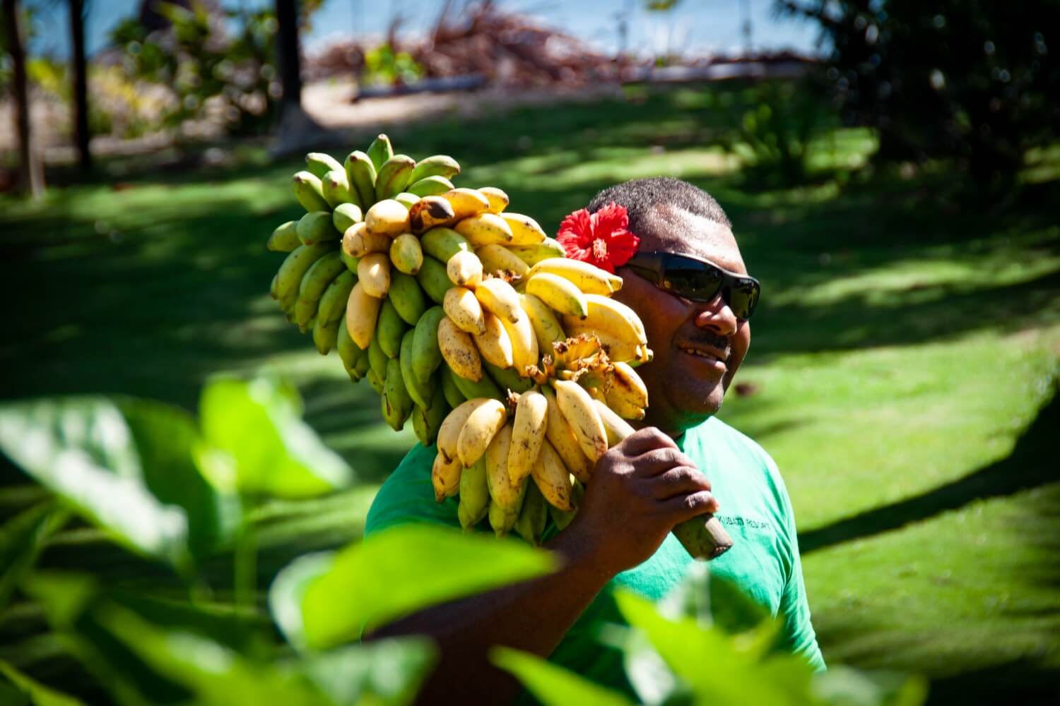 Rondreis Fiji - Nukubati banana - opDroomreis.nu