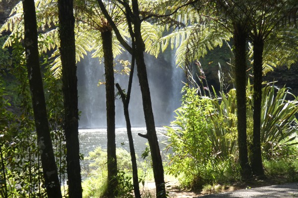 Whangarei - review rondreis Nieuw-Zeeland, opDroomreis.nu