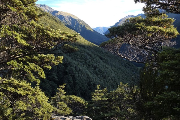 Uitzicht over de bergen van Arthurs Pass National Park tijdens de Avalanche Peak Track in Nieuw-Zeeland – opDroomreis.nu